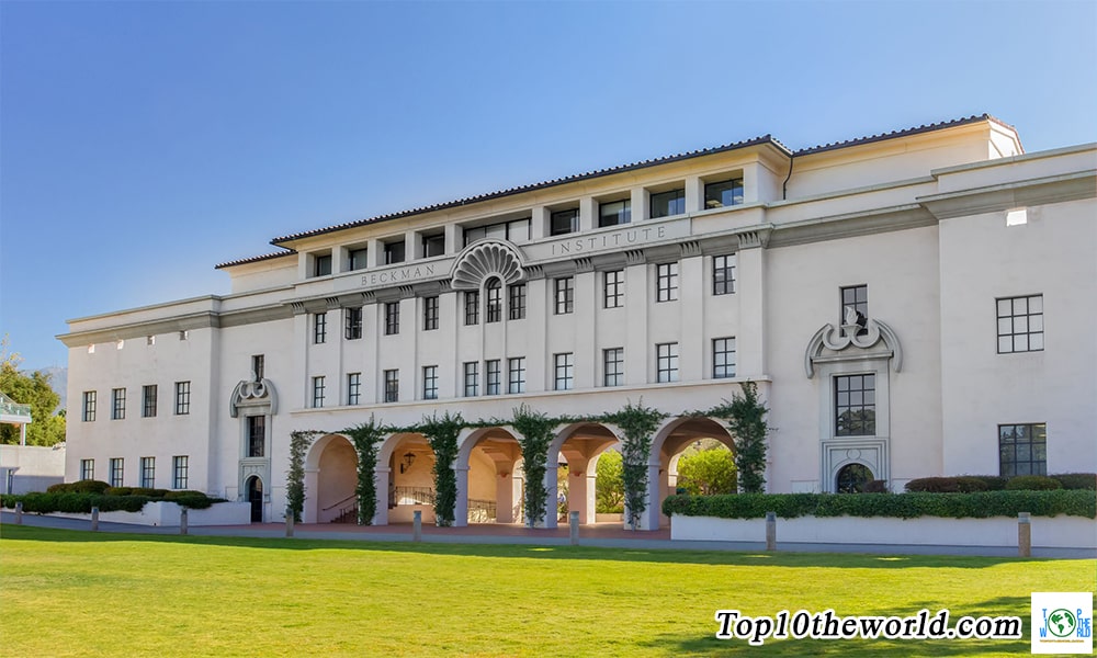 Top 10 Universities In The World 