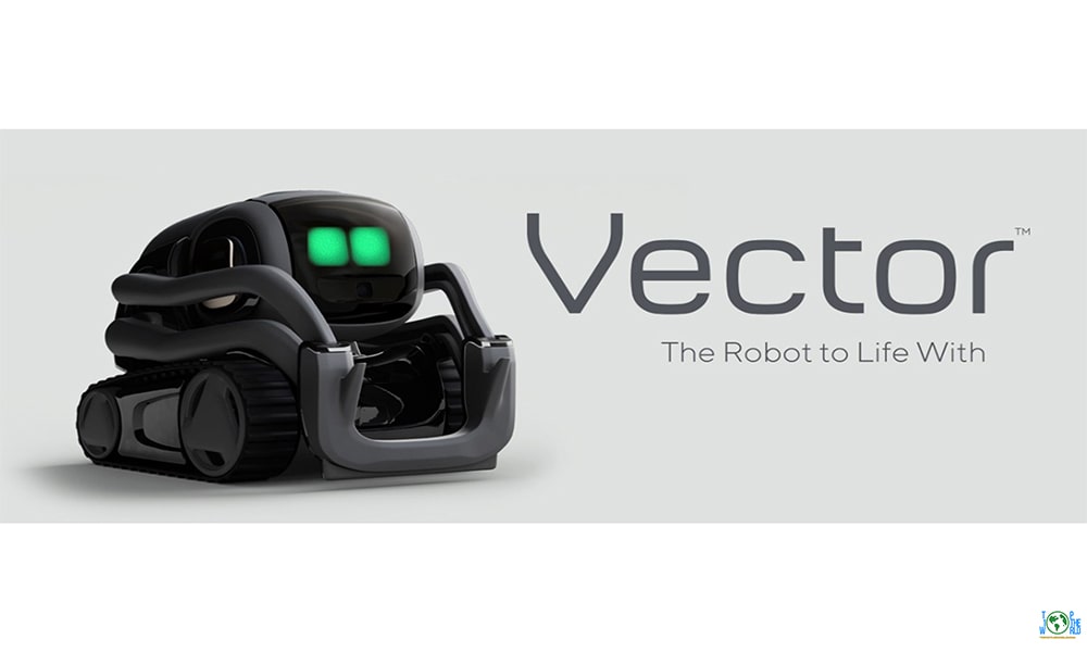 Top 10 Smartest Robots in the World