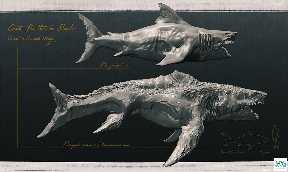 Top 10+ largest ancient animal fossils in the world