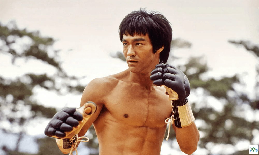 Top Martial Artists in the world
