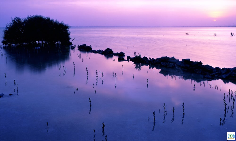 Purple Island - Top 10 Best Palces to visit in Qatar