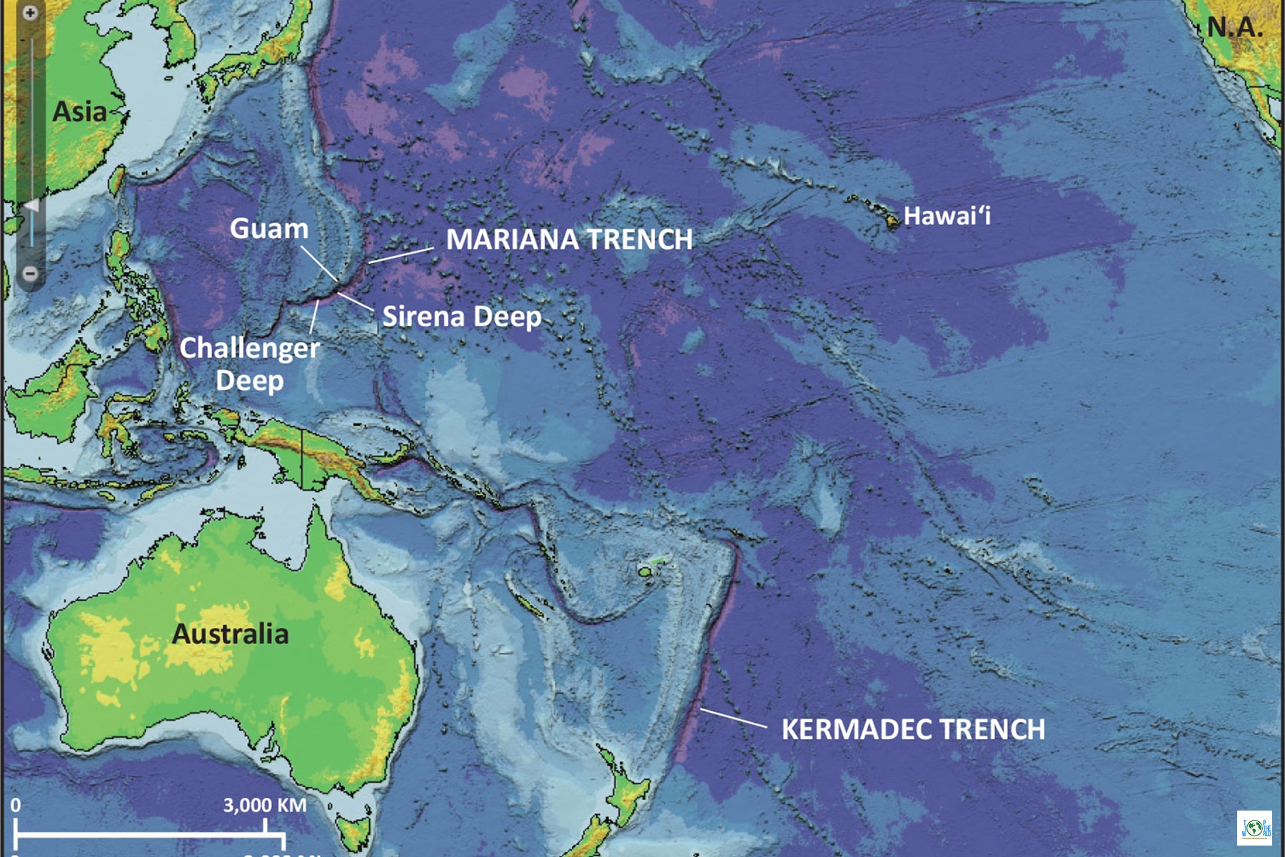 Top 7 Deepest Ocean Trenches on Earth