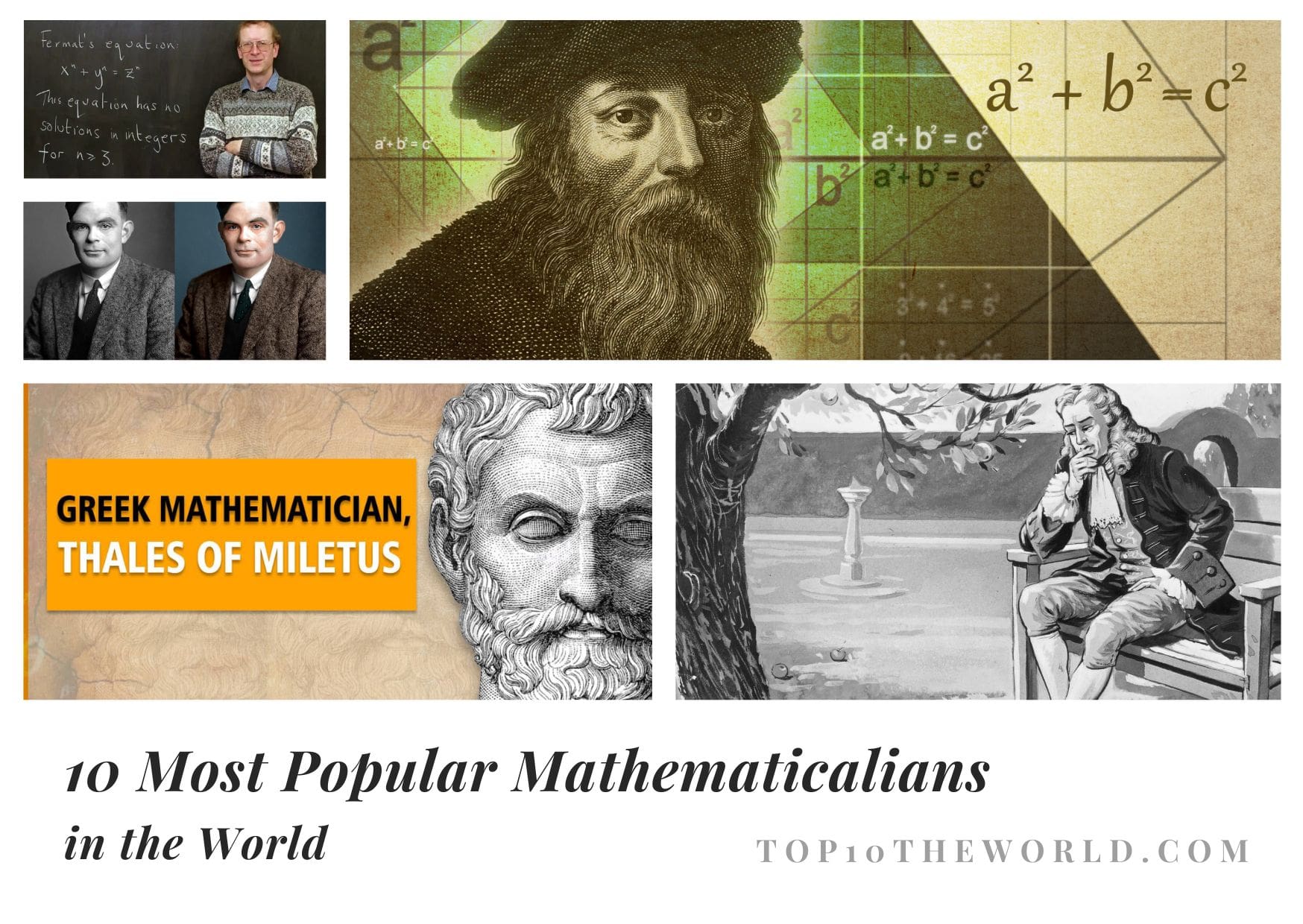 10 Most Popular Mathematicalians in the world