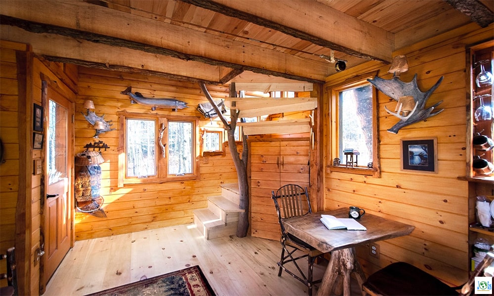 Top 10 Coolest Tree Houses in the world