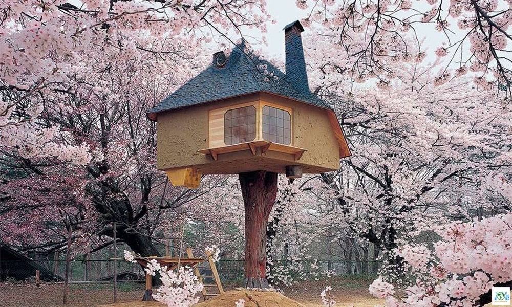 Top 10 Coolest Tree Houses in the world