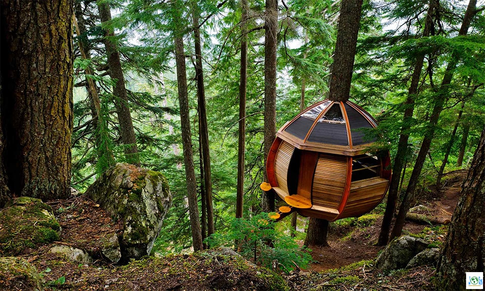 Top 10 Coolest Tree Houses in the world