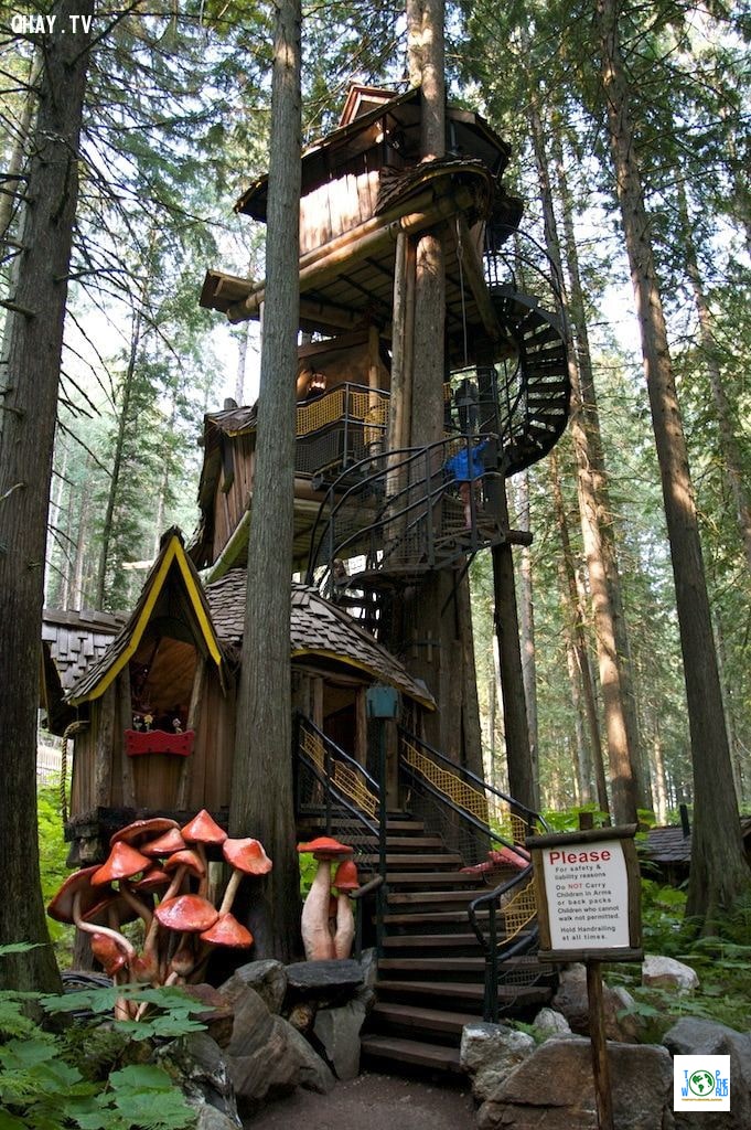 Top 10 Coolest Tree Houses in the world