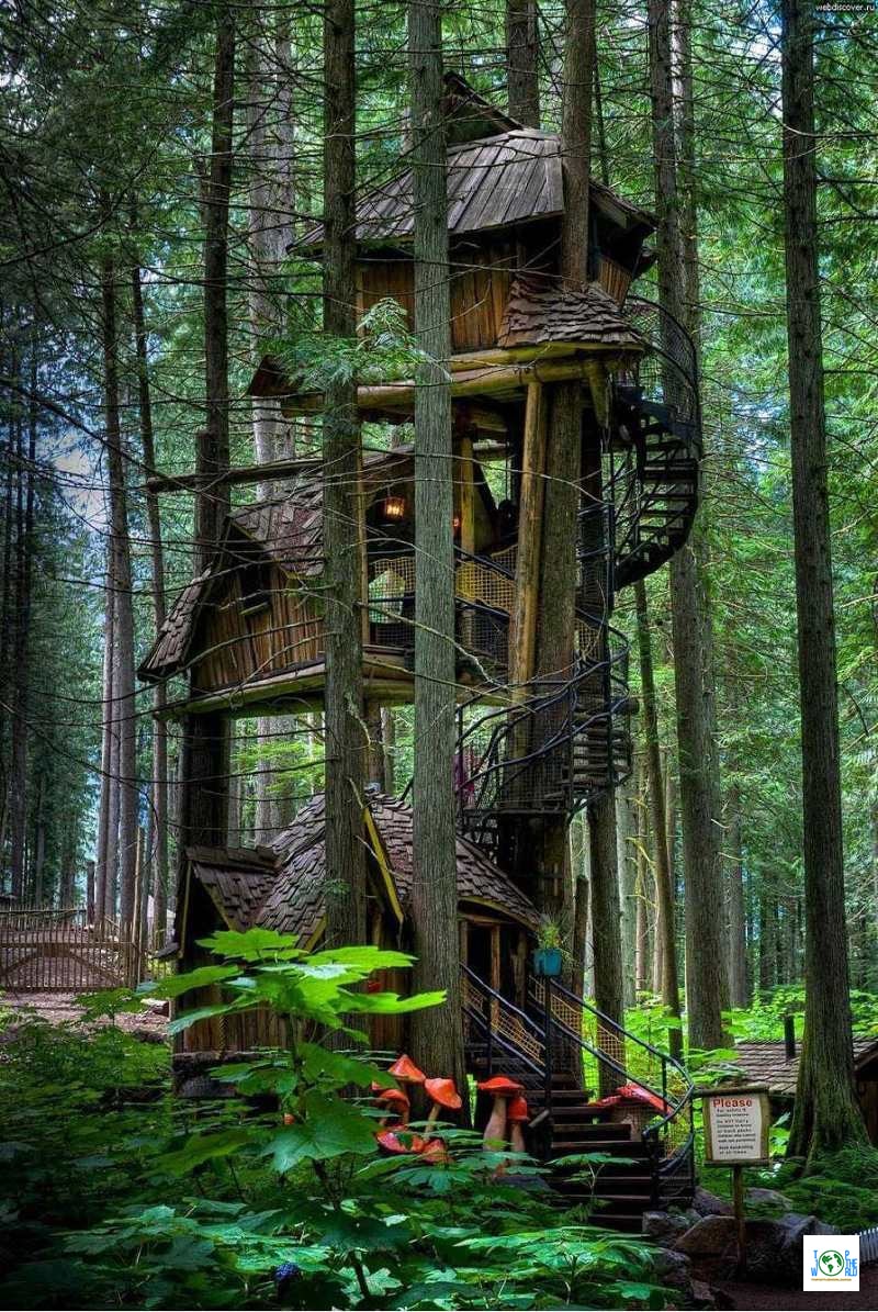 Top 10 Coolest Tree Houses in the world