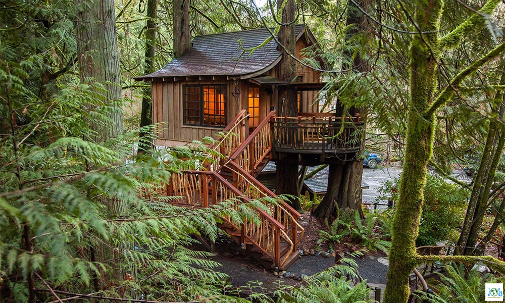 Top 10 Coolest Tree Houses in the world