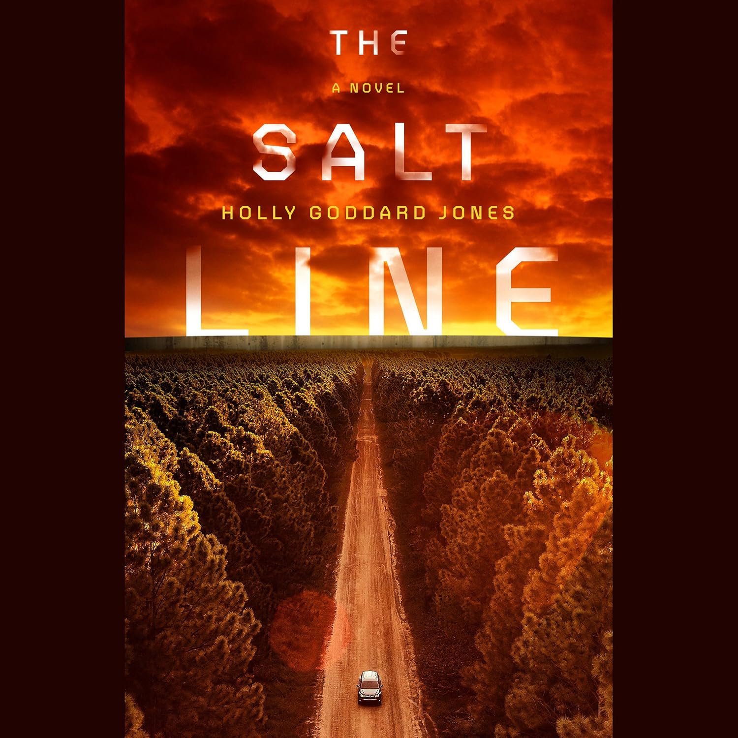 The Salt Line - Lena Vargas